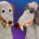 Bennie en Billy Billenbijter uit poppenspel Bennie Billenbijter
