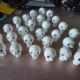 27 poppenkopjes